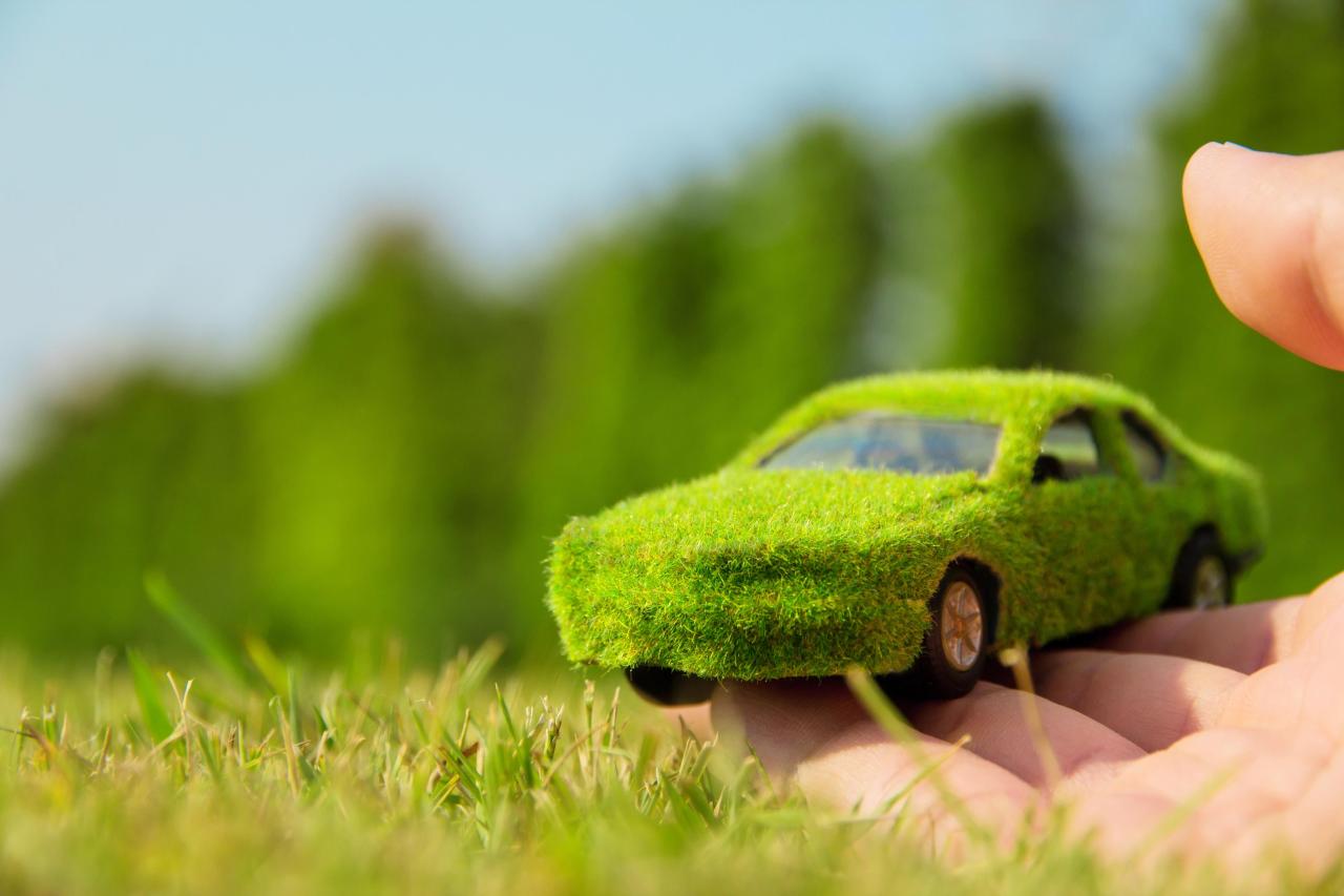 Car green automotive vehicle ecology design tire wheel rim compact transport spoke grass exterior mid mode motor plant system auto
